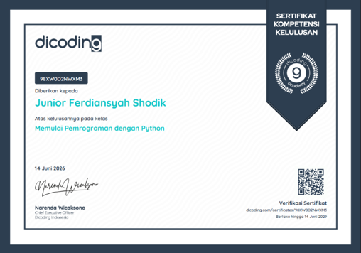 Python for Data & Automation